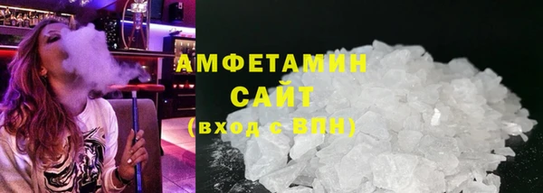 гидра Елизово