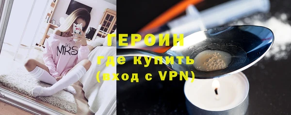 гидра Елизово