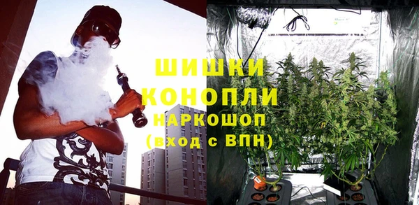 трава Тавда
