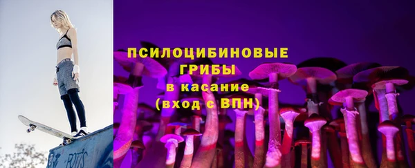 гидра Елизово