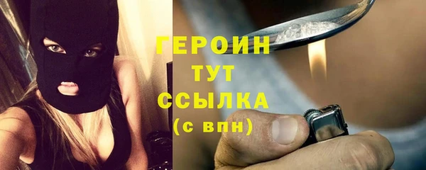 гидра Елизово