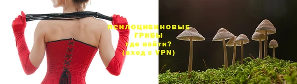 ALPHA PVP Тайга