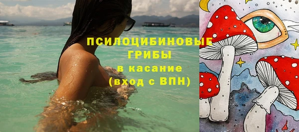 круглые Ельня
