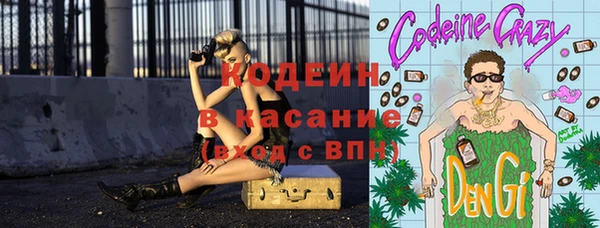 гидра Елизово