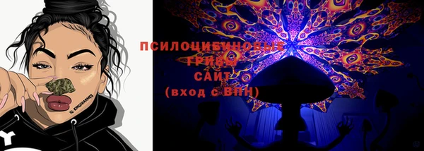 гидра Елизово