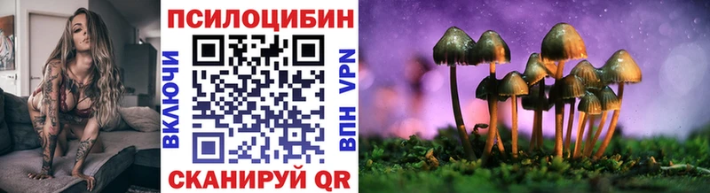 blacksprut как зайти  Нея  Псилоцибиновые грибы Psilocybe 